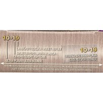 BOJA PALETTE 10-19 HLADNA SREBRENO PLAVA AWT